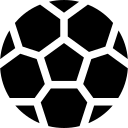 董重